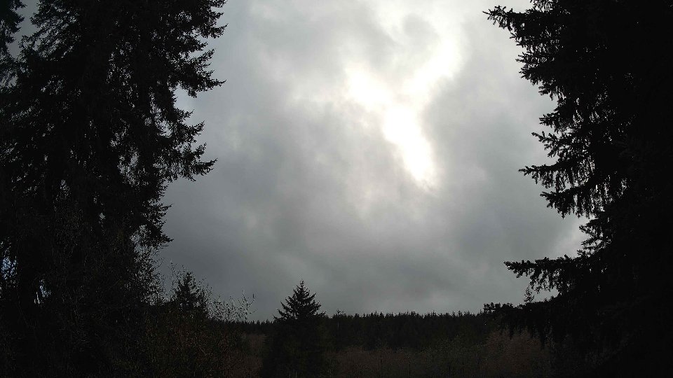 Pacific Northwest skyline timelapse on Mar 04, 2026 at 4:00 PM