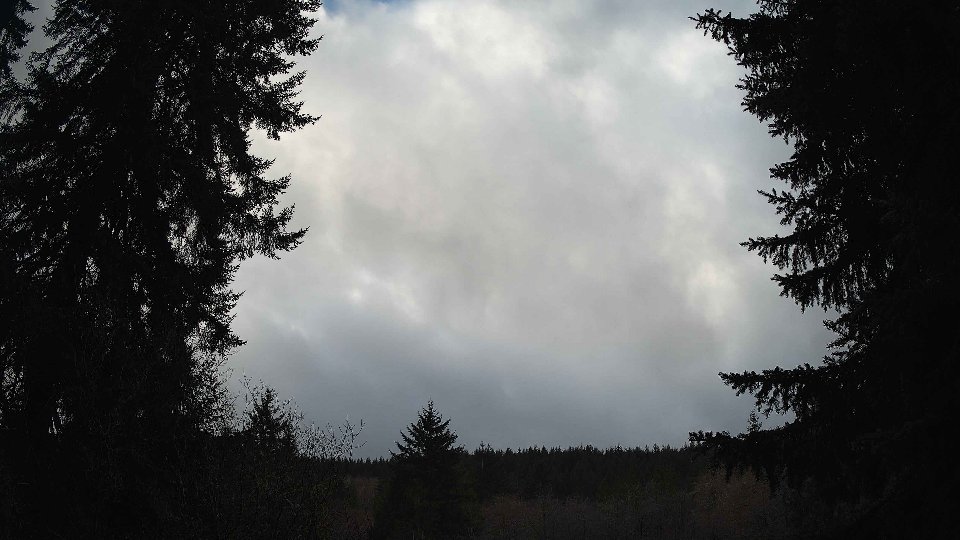Pacific Northwest skyline timelapse on Mar 04, 2026 at 4:30 PM