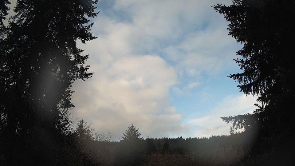 Pacific Northwest skyline timelapse on Mar 05, 2026 at 8:00 AM