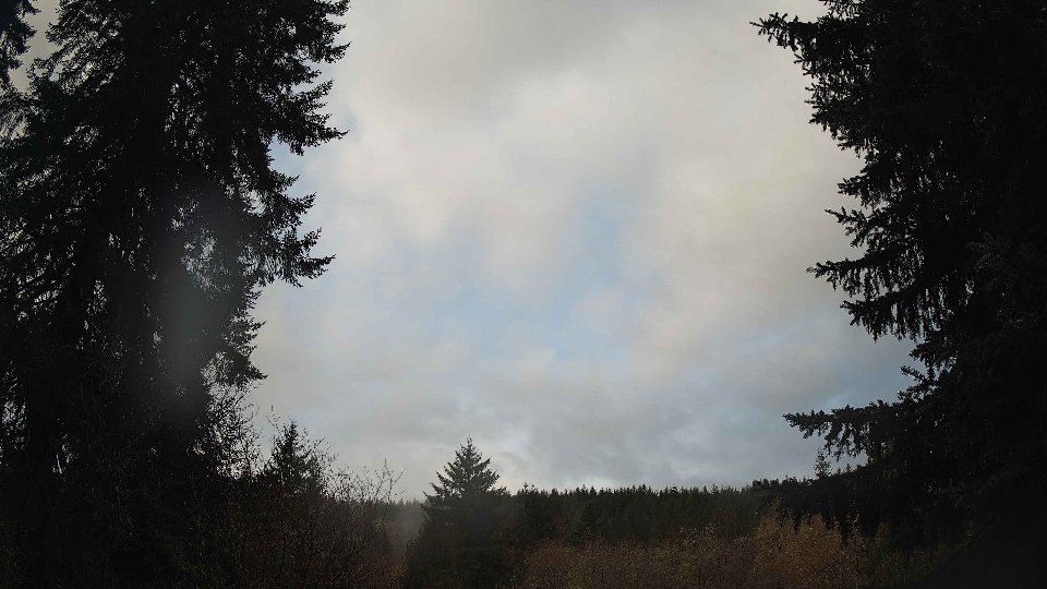 Pacific Northwest skyline timelapse on Mar 05, 2026 at 8:30 AM