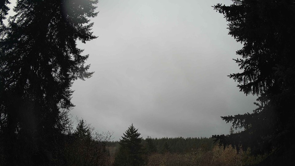 Pacific Northwest skyline timelapse on Mar 05, 2026 at 10:00 AM