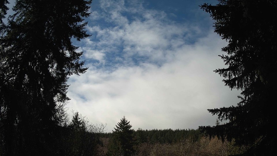 Pacific Northwest skyline timelapse on Mar 05, 2026 at 11:00 AM