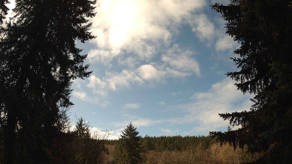 Pacific Northwest skyline timelapse on Mar 05, 2026 at 11:15 AM