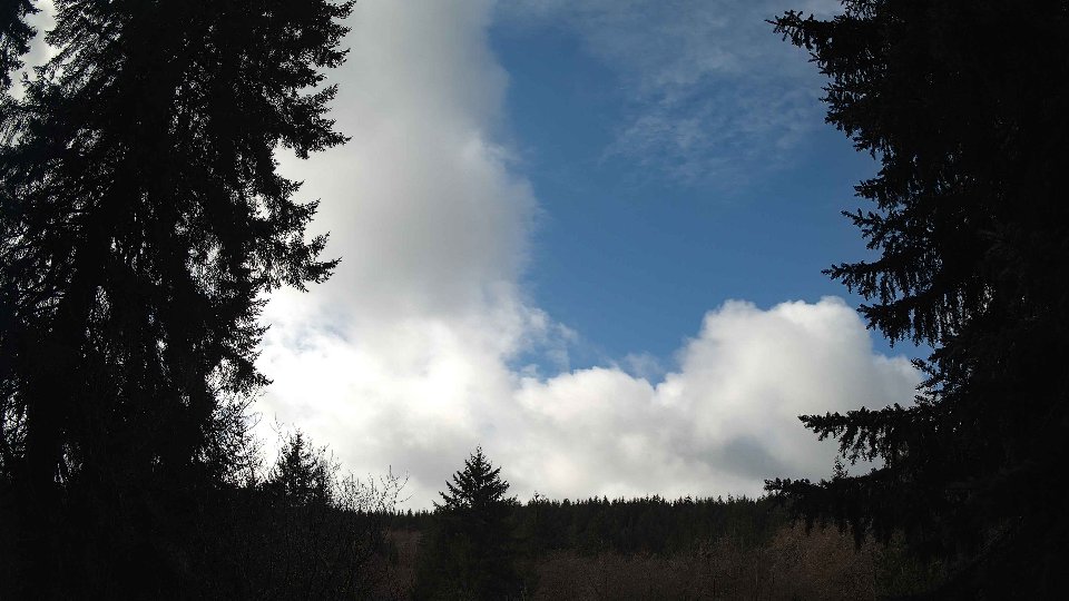 Pacific Northwest skyline timelapse on Mar 05, 2026 at 11:30 AM
