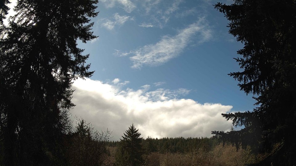 Pacific Northwest skyline timelapse on Mar 05, 2026 at 12:30 PM