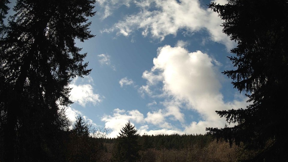 Pacific Northwest skyline timelapse on Mar 05, 2026 at 12:45 PM