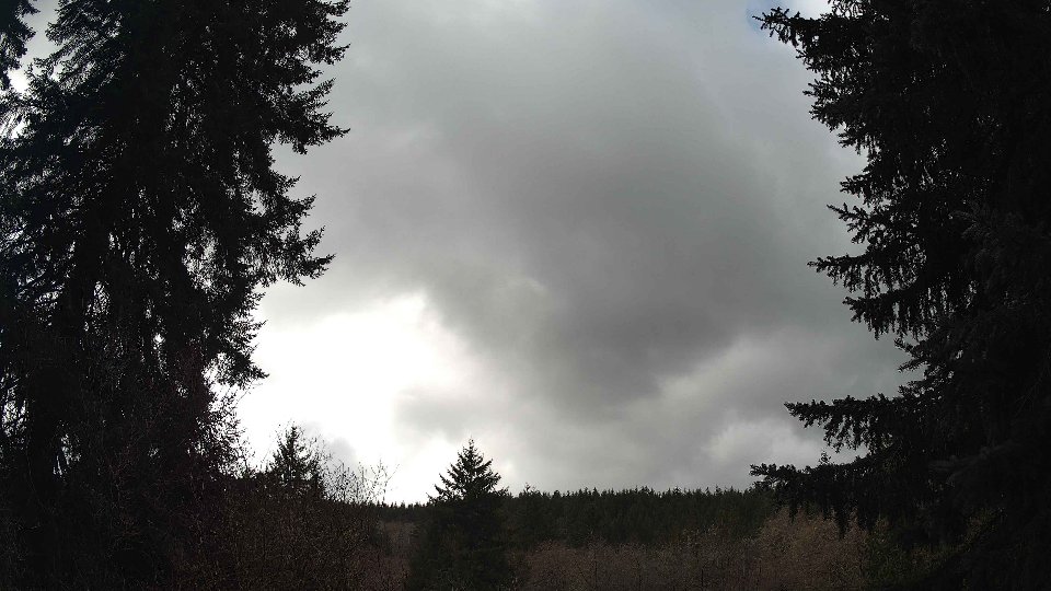 Pacific Northwest skyline timelapse on Mar 05, 2026 at 1:00 PM