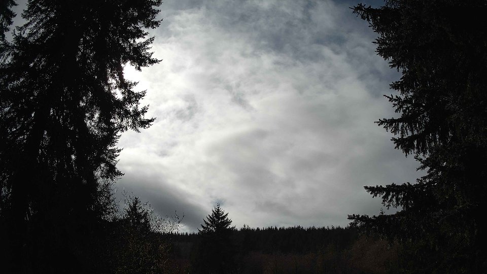 Pacific Northwest skyline timelapse on Mar 05, 2026 at 1:30 PM