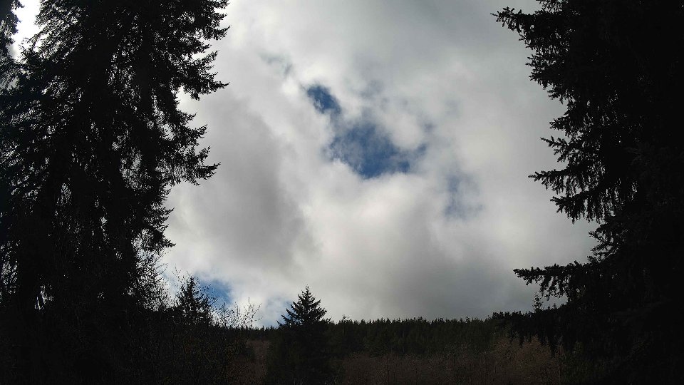Pacific Northwest skyline timelapse on Mar 07, 2026 at 11:45 AM
