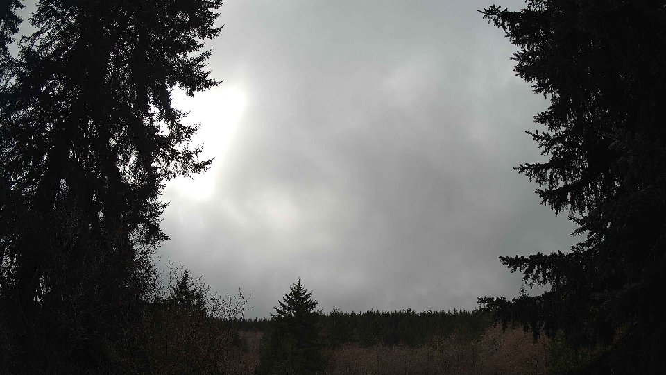 Pacific Northwest skyline timelapse on Mar 07, 2026 at 1:30 PM