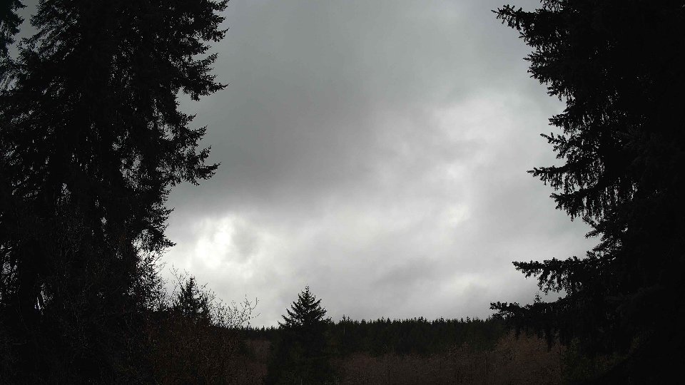 Pacific Northwest skyline timelapse on Mar 07, 2026 at 2:30 PM
