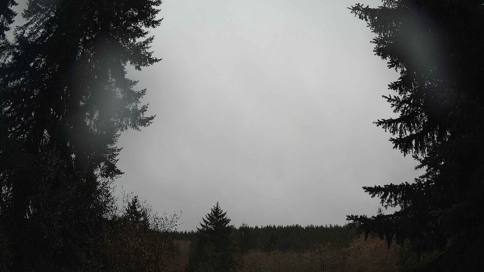 Pacific Northwest skyline timelapse on Mar 08, 2026 at 9:15 AM