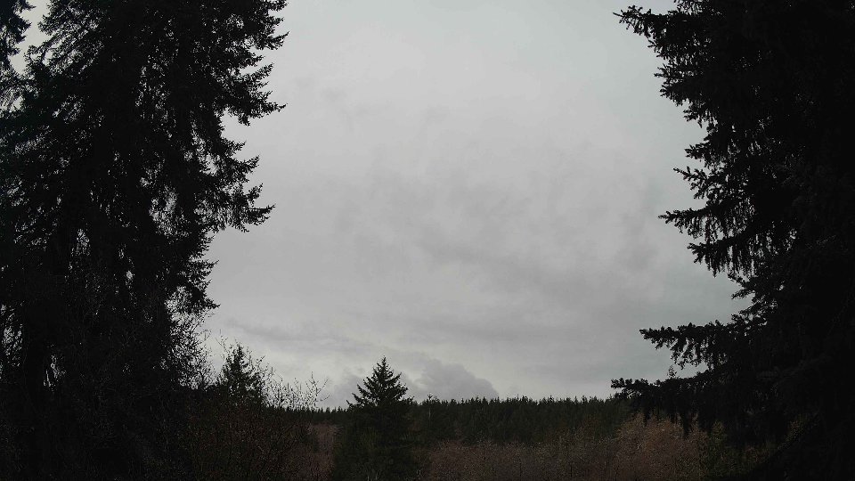 Pacific Northwest skyline timelapse on Mar 10, 2026 at 11:45 AM