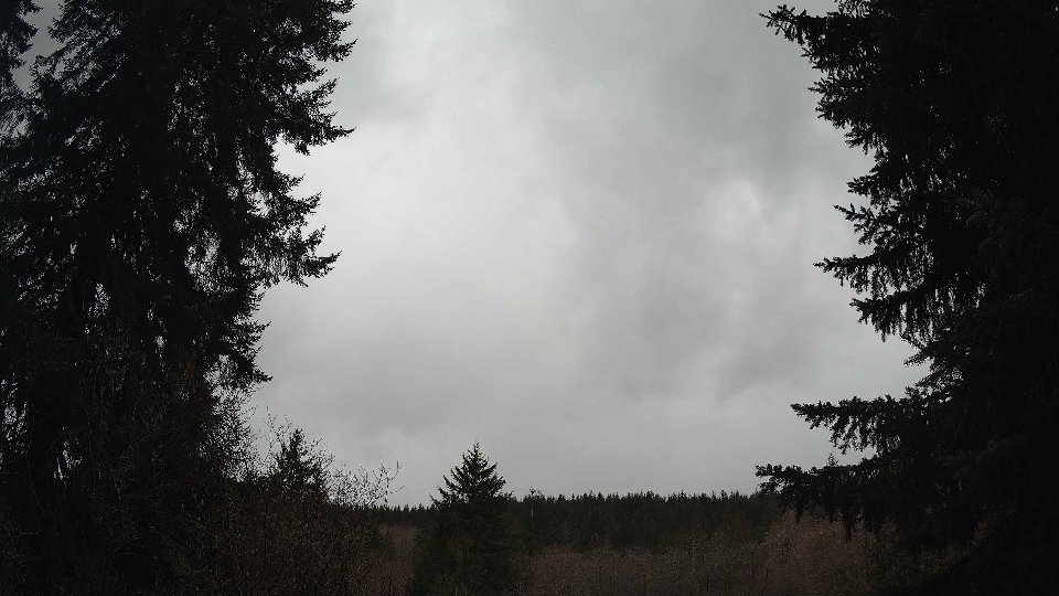 Pacific Northwest skyline timelapse on Mar 10, 2026 at 1:00 PM