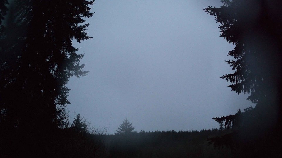 Pacific Northwest skyline timelapse on Mar 11, 2026 at 7:15 AM