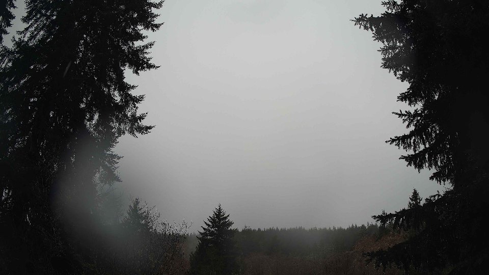 Pacific Northwest skyline timelapse on Mar 12, 2026 at 11:30 AM