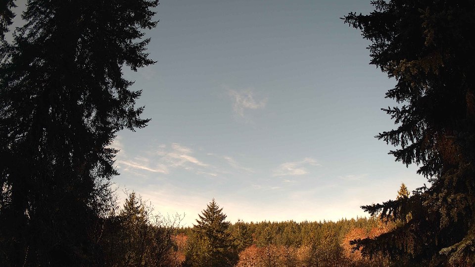 Pacific Northwest skyline timelapse on Mar 14, 2026 at 9:00 AM