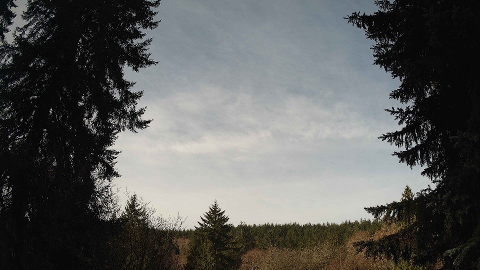 Pacific Northwest skyline timelapse on Mar 14, 2026 at 9:45 AM
