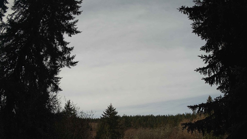 Pacific Northwest skyline timelapse on Mar 14, 2026 at 10:30 AM