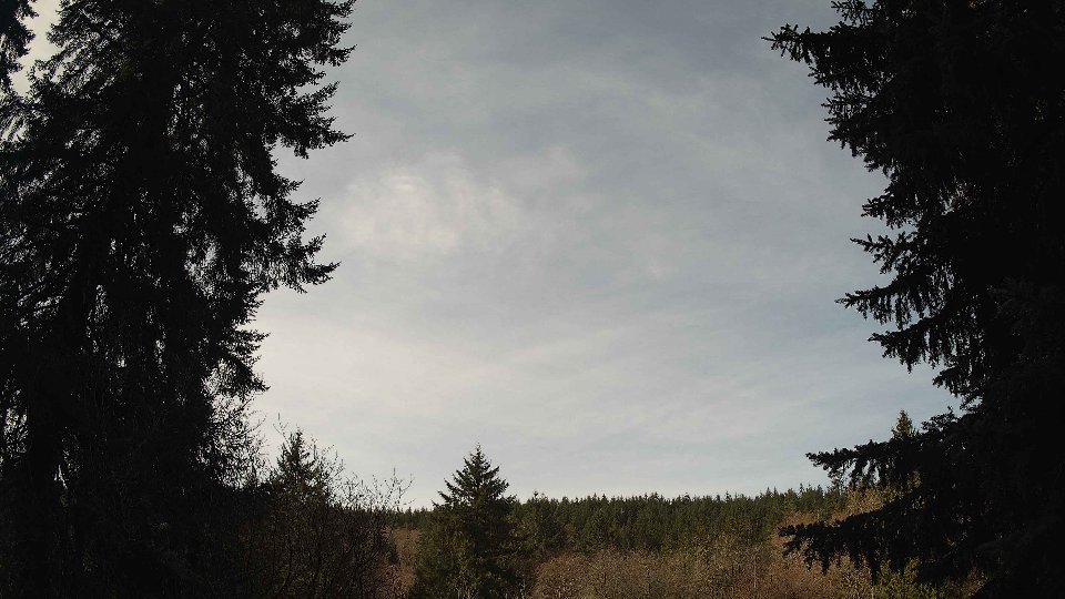 Pacific Northwest skyline timelapse on Mar 14, 2026 at 11:00 AM