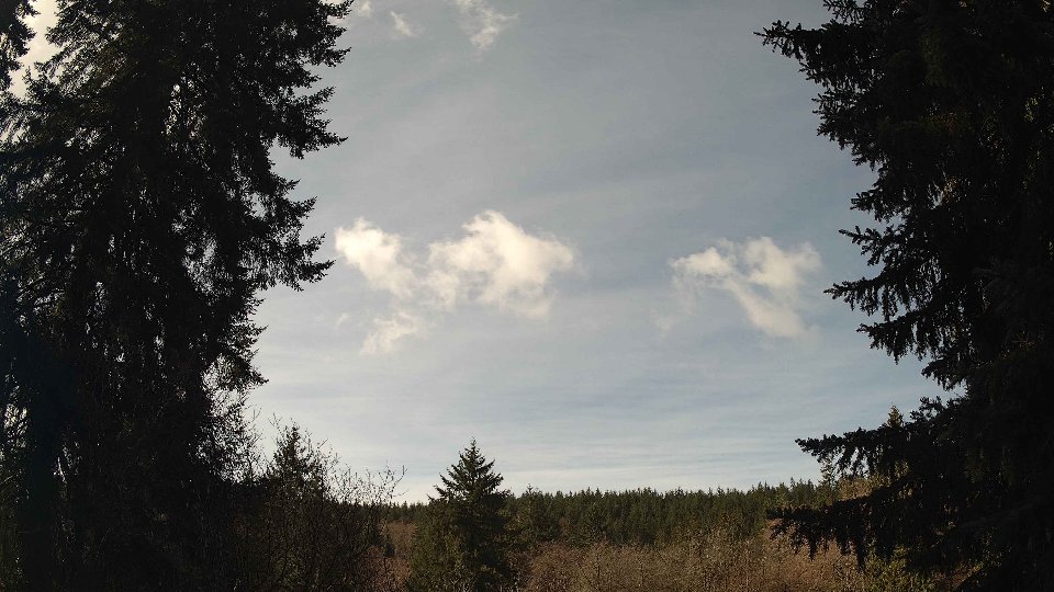 Pacific Northwest skyline timelapse on Mar 14, 2026 at 11:45 AM