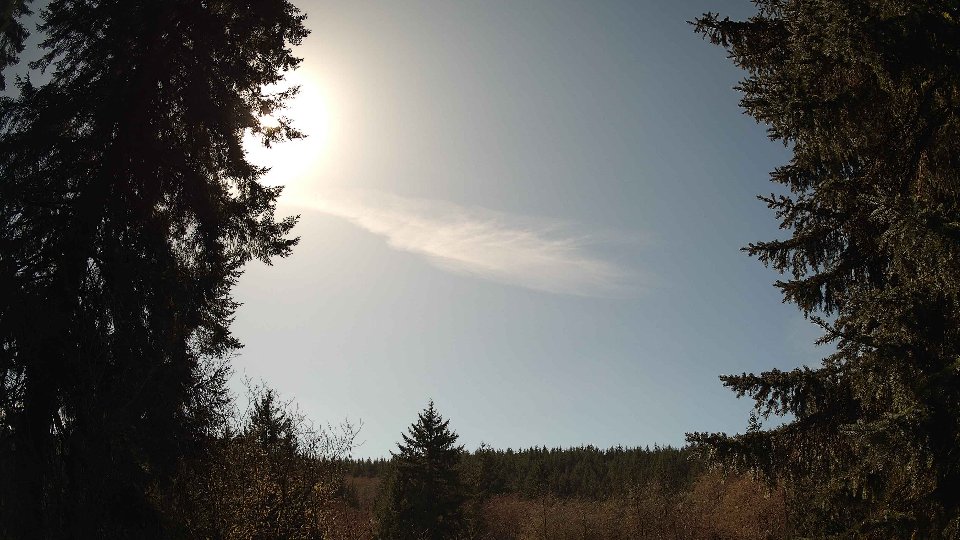 Pacific Northwest skyline timelapse on Mar 14, 2026 at 2:30 PM