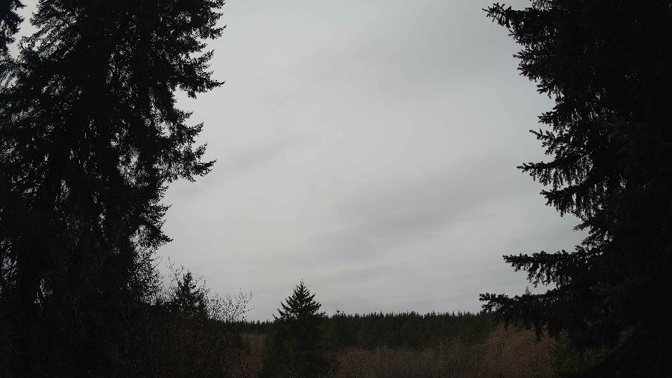 Pacific Northwest skyline timelapse frame from Mar 15th, 2026 at 11:30 AM