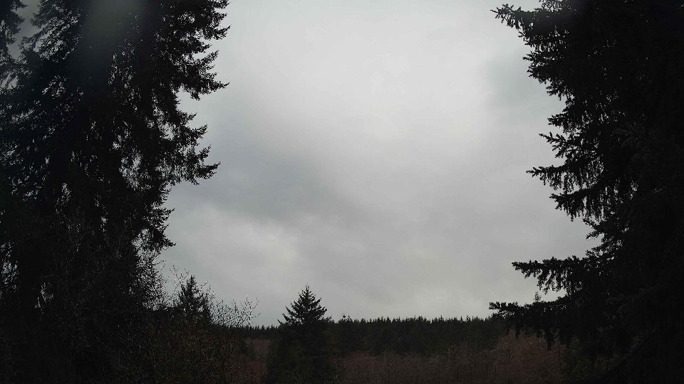 Pacific Northwest skyline timelapse frame from Mar 16th, 2026 at 8:15 AM