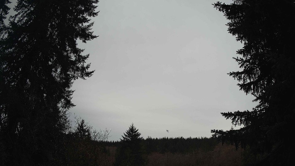 Pacific Northwest skyline timelapse frame from Mar 16th, 2026 at 9:45 AM