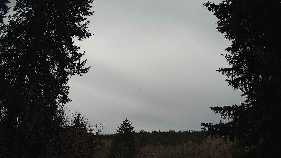 Pacific Northwest skyline timelapse frame from Mar 16th, 2026 at 10:00 AM