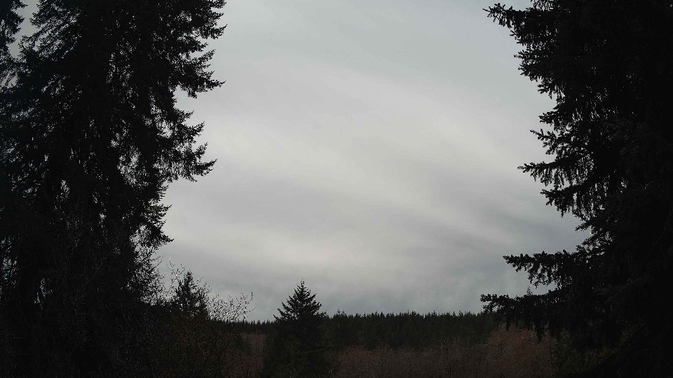 Pacific Northwest skyline timelapse frame from Mar 16th, 2026 at 10:15 AM