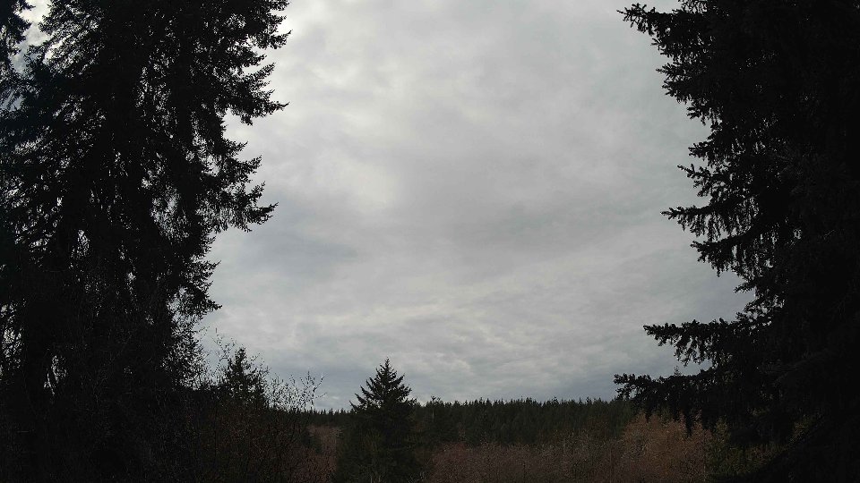 Pacific Northwest skyline timelapse frame from Mar 16th, 2026 at 11:15 AM