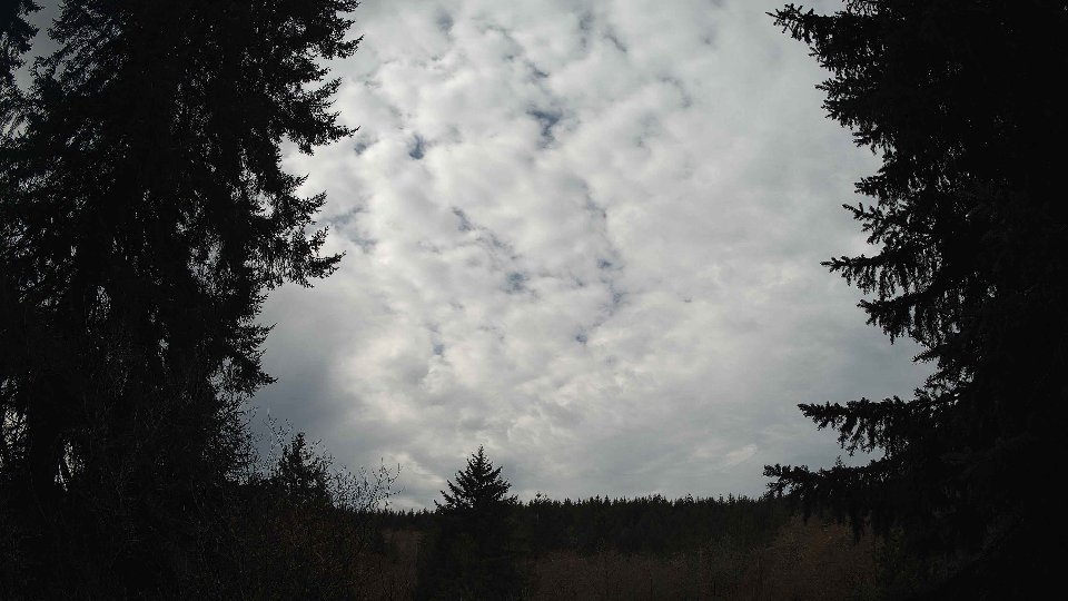Pacific Northwest skyline timelapse frame from Mar 16th, 2026 at 11:30 AM