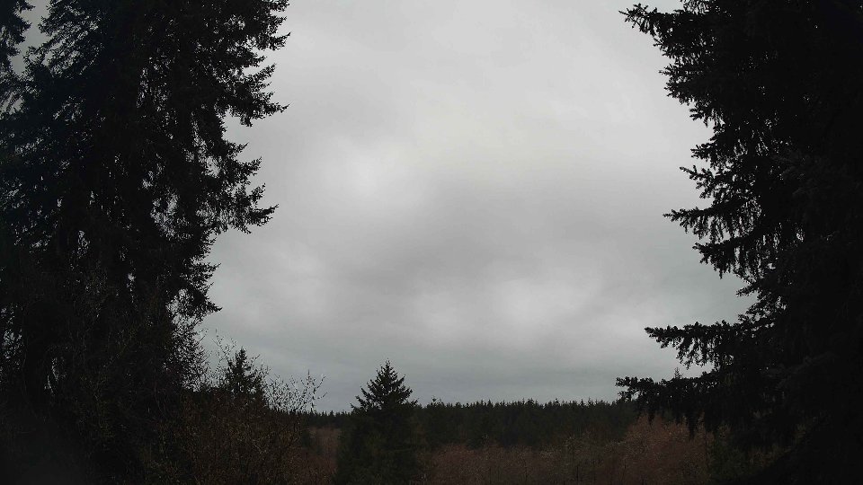 Pacific Northwest skyline timelapse frame from Mar 17th, 2026 at 8:00 AM