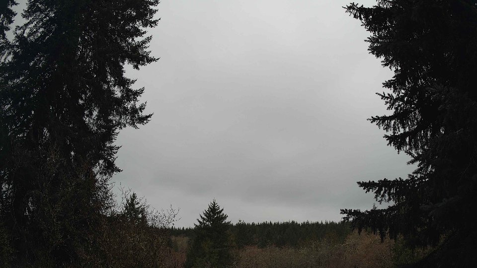 Pacific Northwest skyline timelapse frame from Mar 17th, 2026 at 9:15 AM