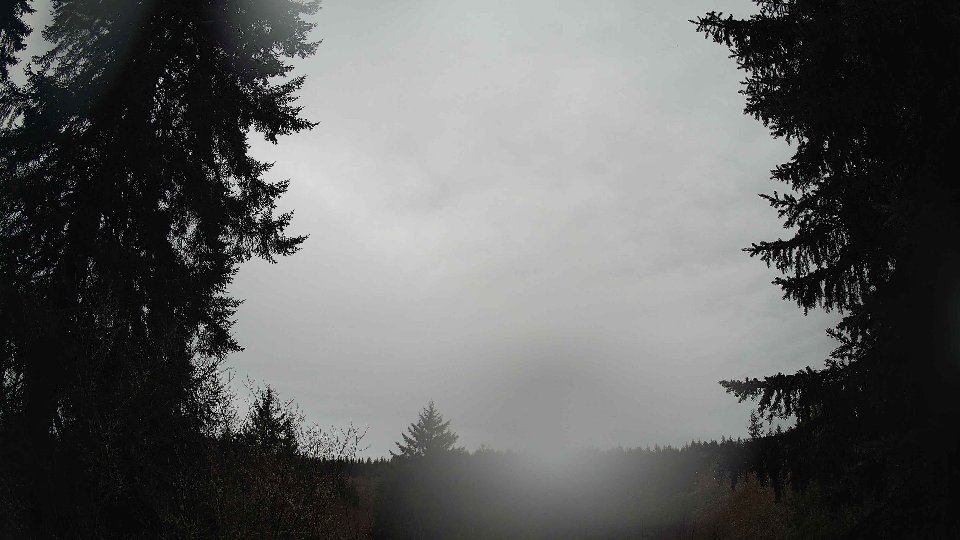 Pacific Northwest skyline timelapse frame from Mar 17th, 2026 at 11:30 AM