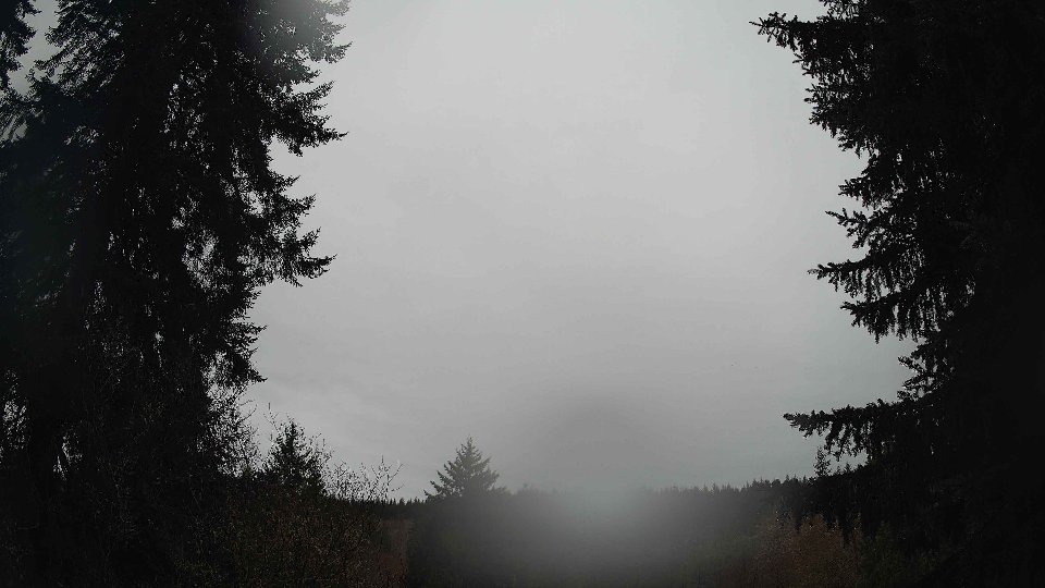 Pacific Northwest skyline timelapse frame from Mar 17th, 2026 at 11:45 AM