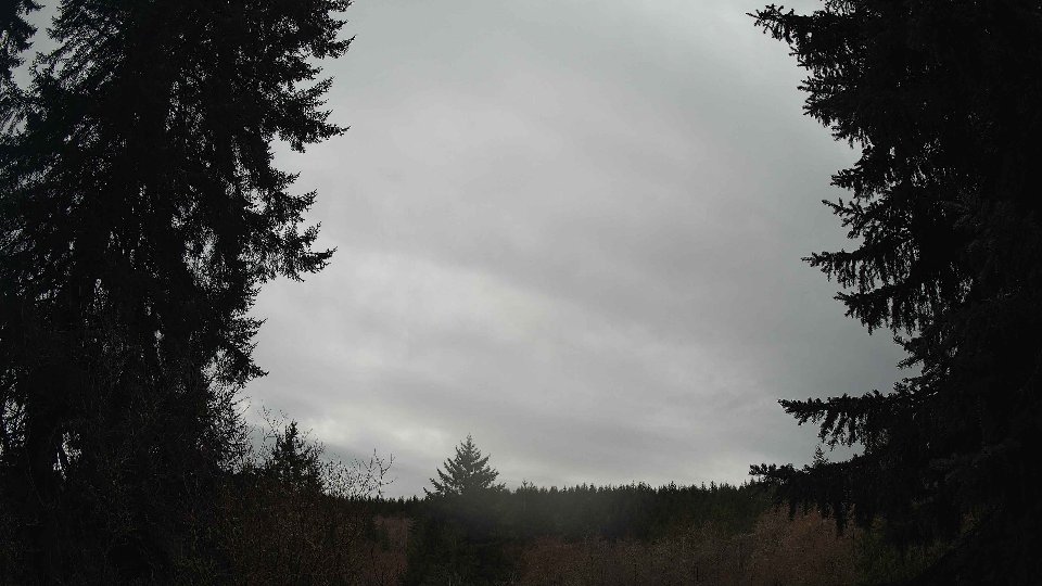 Pacific Northwest skyline timelapse frame from Mar 17th, 2026 at 2:15 PM