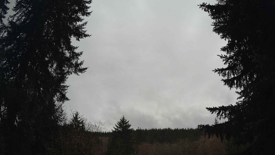 Pacific Northwest skyline timelapse frame from Mar 18th, 2026 at 8:00 AM