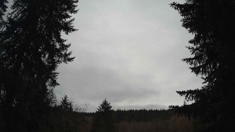 Pacific Northwest skyline timelapse frame from Mar 18th, 2026 at 11:30 AM