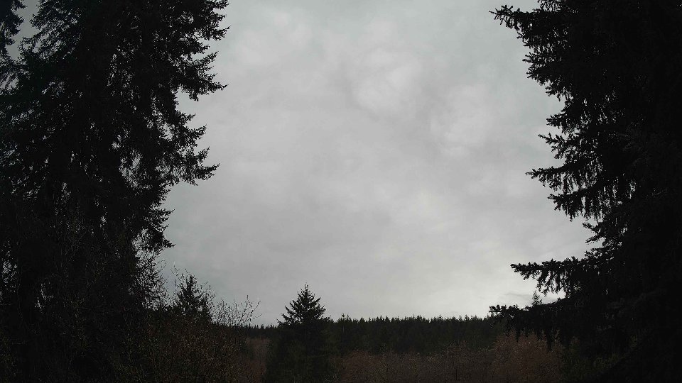 Pacific Northwest skyline timelapse frame from Mar 18th, 2026 at 11:45 AM
