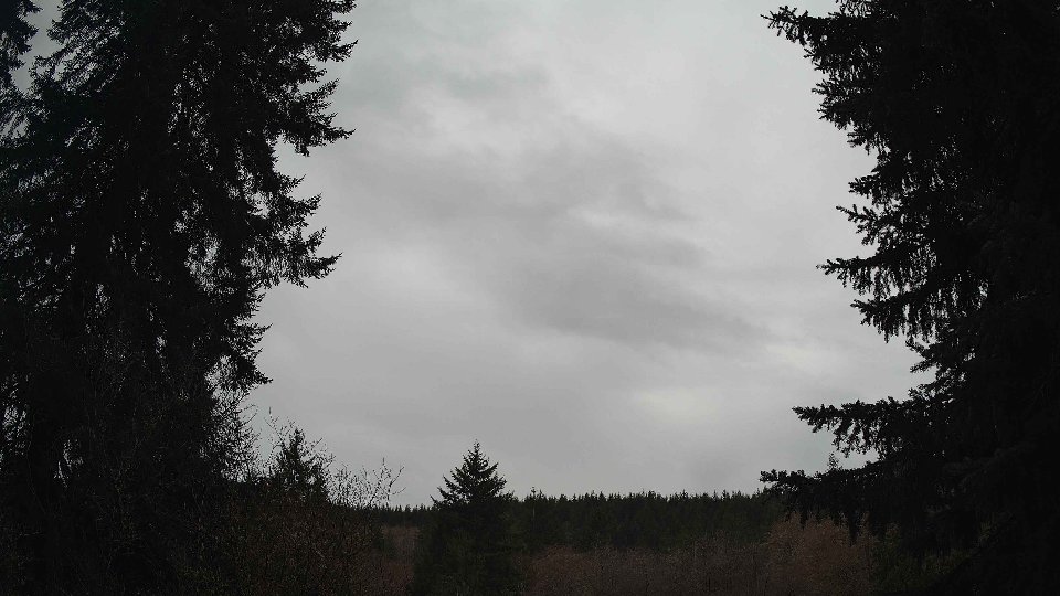 Pacific Northwest skyline timelapse frame from Mar 18th, 2026 at 1:00 PM
