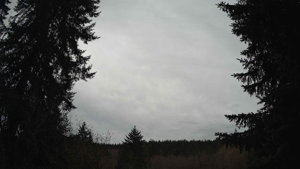 Pacific Northwest skyline timelapse frame from Mar 18th, 2026 at 2:00 PM