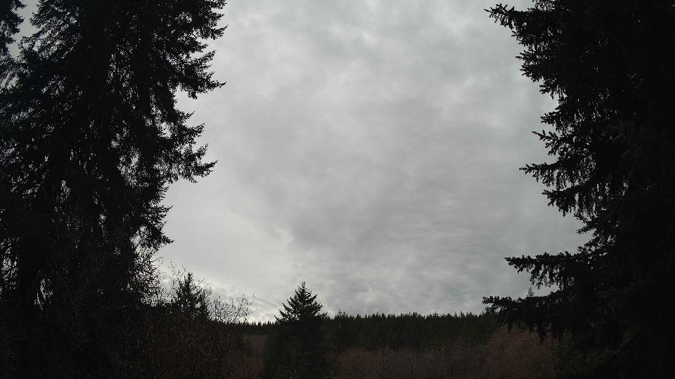 Pacific Northwest skyline timelapse frame from Mar 18th, 2026 at 2:15 PM