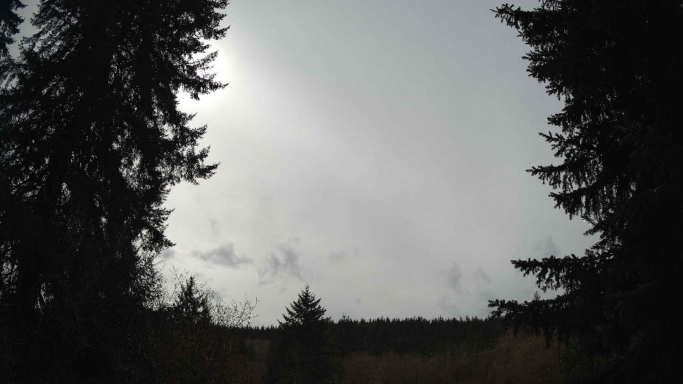 Pacific Northwest skyline timelapse frame from Mar 18th, 2026 at 2:30 PM