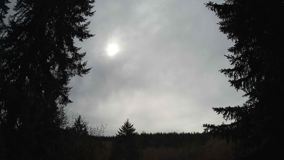 Pacific Northwest skyline timelapse frame from Mar 18th, 2026 at 3:15 PM