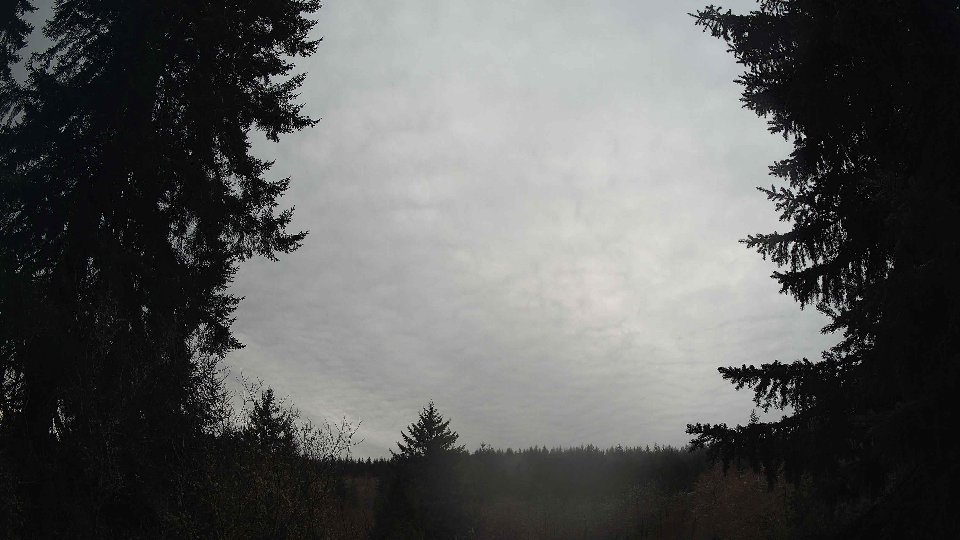 Pacific Northwest skyline timelapse frame from Mar 19th, 2026 at 8:00 AM