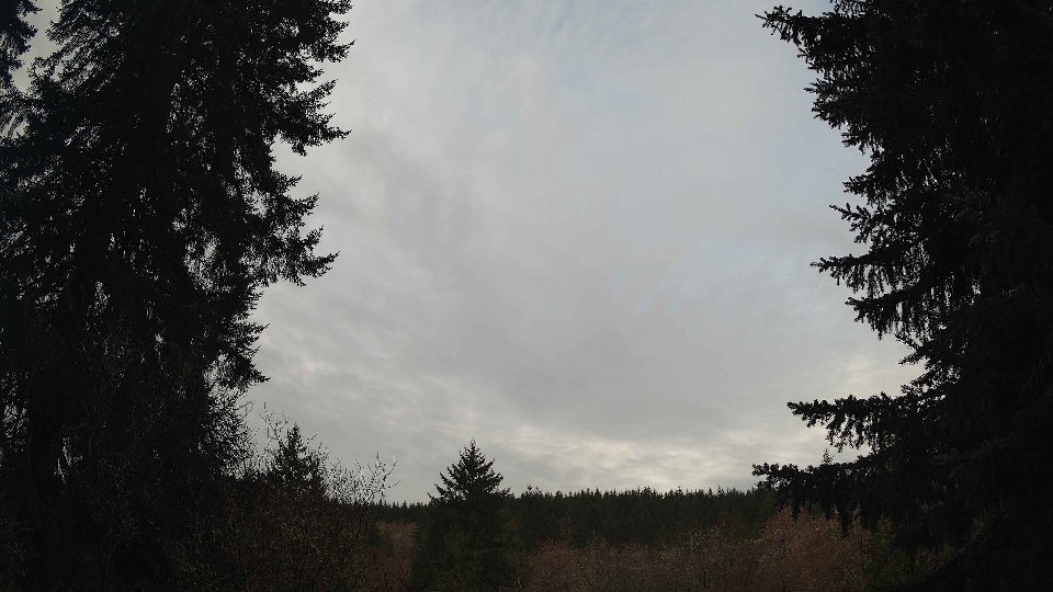 Pacific Northwest skyline timelapse frame from Mar 19th, 2026 at 9:00 AM
