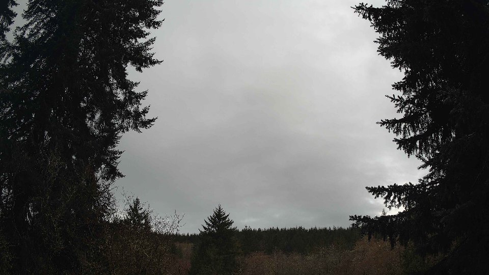 Pacific Northwest skyline timelapse frame from Mar 19th, 2026 at 9:15 AM