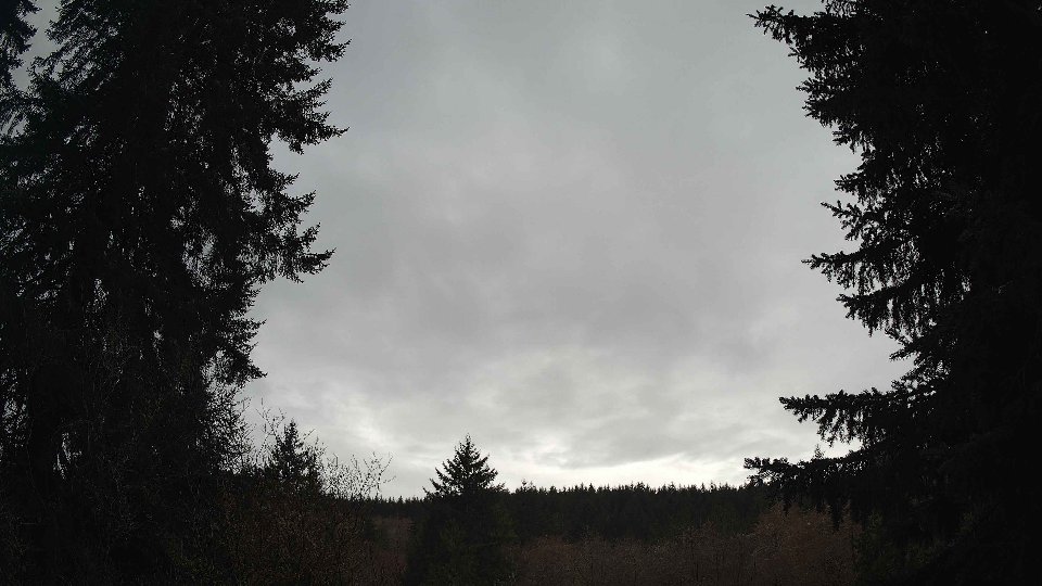 Pacific Northwest skyline timelapse frame from Mar 19th, 2026 at 10:00 AM